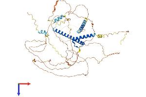 TCF4 Protein (AA 1-670) (His tag)