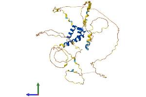 Protein Structure (PS) image for Homeobox A3 (HOXA3) (AA 1-443) protein (His tag) (ABIN7548414)