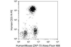 Human peripheral blood from normal donors was stained using a combination of anti–human CD3 monoclonal antibody (clone: S4. (FIX&PERM® Kit 1000)