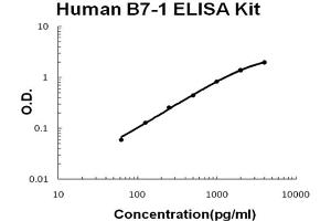 Human B7-1/CD80 Accusignal ELISA Kit Human B7-1/CD80 AccuSignal ELISA Kit standard curve. (CD80 ELISA Kit)
