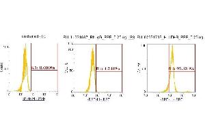 Flow Cytometry (FACS) image for anti-Lactate Dehydrogenase B (LDHB) (AA 1-334) antibody (PE) (ABIN5565786) (LDHB Antikörper  (AA 1-334) (PE))