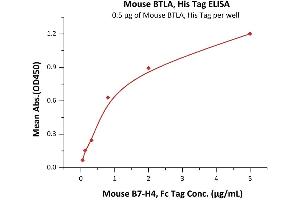Immobilized Mouse BTLA, His Tag (ABIN4949158,ABIN4949159) at 5 μg/mL (100 μL/well) can bind Mouse B7-H4, Fc Tag  with a linear range of 0. (BTLA Protein (AA 30-176) (His tag))