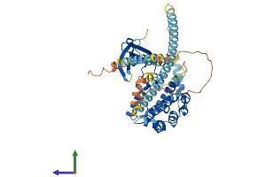 Protein Structure (PS) image for NIMA (Never in Mitosis Gene A)-Related Kinase 2 (NEK2) (AA 1-445) protein (His tag) (ABIN7554703)