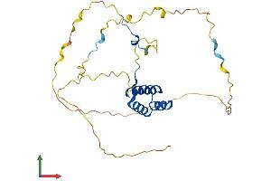 Protein Structure (PS) image for Homeobox C4 (HOXC4) (AA 1-264) protein (His tag) (ABIN7548455)