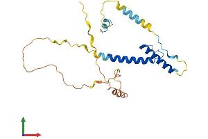 Protein Structure (PS) image for Heart and Neural Crest Derivatives Expressed 2 (HAND2) (AA 1-217) protein (His tag) (ABIN7548215)