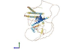 Protein Structure (PS) image for Forkhead Box P1 (FOXP1) (AA 1-677) protein (His tag) (ABIN7553966)