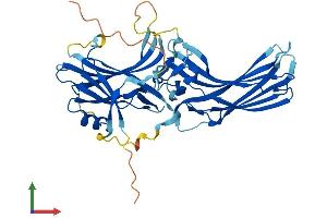 Protein Structure (PS) image for S-Antigen, Retina and Pineal Gland (Arrestin) (SAG) (AA 1-403) protein (His tag) (ABIN7562947)