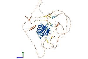 Protein Structure (PS) image for Nuclear Factor of Activated T-Cells, Cytoplasmic, Calcineurin-Dependent 1 (NFATC1) (AA 1-717) protein (His tag) (ABIN7562694)