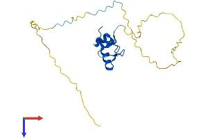 RNF4 Protein (AA 1-190) (His tag)