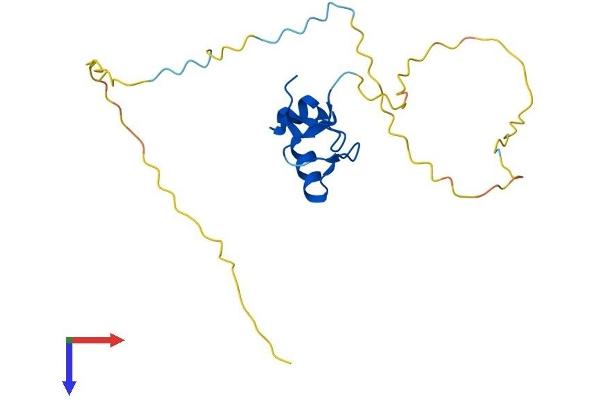 RNF4 Protein (AA 1-190) (His tag)