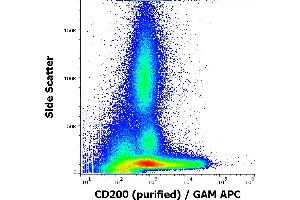 Flow cytometry surface staining pattern of human peripheral blood stained using anti-human CD200 (OX-104) purified antibody (concentration in sample 4 μg/mL) GAM APC. (CD200 Antikörper)