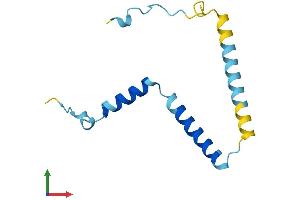 Protein Structure (PS) image for Family with Sequence Similarity 32, Member A (FAM32A) (AA 1-112) protein (His tag) (ABIN7547523)