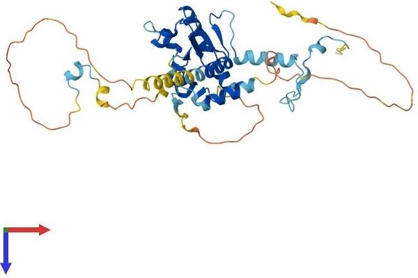CEP41 Protein (AA 1-373) (His tag)