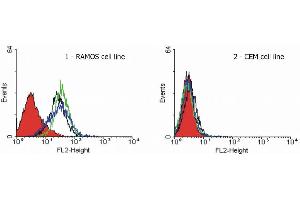 Flow Cytometry (FACS) image for anti-Tumor Necrosis Factor Receptor Superfamily, Member 10a (TNFRSF10A) antibody (ABIN2749024)