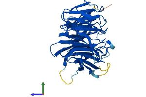 Protein Structure (PS) image for DDB1 and CUL4 Associated Factor 7 (DCAF7) (AA 1-342) protein (His tag) (ABIN7556590)