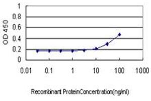 Detection limit for recombinant GST tagged CD96 is approximately 3ng/ml as a capture antibody. (CD96 Antikörper  (AA 1-402))