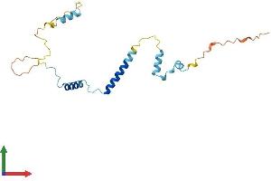 AlphaFold protein structure predicition of Human Recombinant CCDC32 Protein, UniprotID Q9BV29