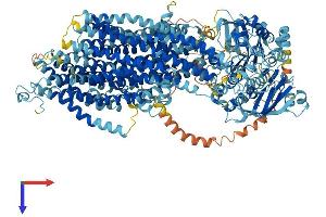ABCC9 Protein (AA 1-1549) (His tag)
