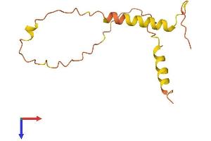BLID Protein (AA 1-108) (His tag)
