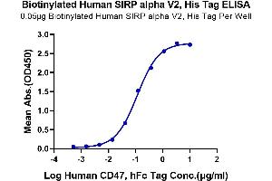 Immobilized Biotinylated Human SIRP alpha V2, His Tag at 0.