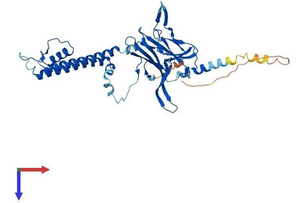 KCNJ9 Protein (AA 1-393) (His tag)
