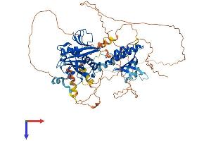 RAP1GAP2 Protein (AA 1-730) (His tag)