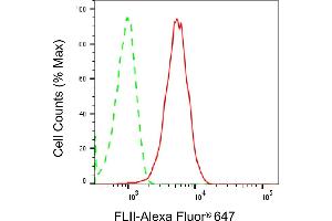 Flow cytometric analysis of FLII expression in HepG2 cells using FLII antibody (ABIN7798630), 1:2,000).