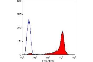 Staining of rat thymus cells with MOUSE ANTI RAT CD90 (THY-1. (CD90 Antikörper  (FITC))