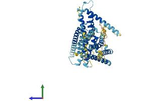 Protein Structure (PS) image for Limb Region 1 Like (LMBR1L) (AA 1-489) protein (His tag) (ABIN7560879)