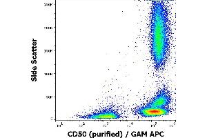 Flow cytometry surface staining pattern of human peripheral whole blood stained using anti-human CD50 (MEM-171) purified antibody (concentration in sample 0,6 μg/mL, GAM APC). (ICAM-3/CD50 Antikörper)