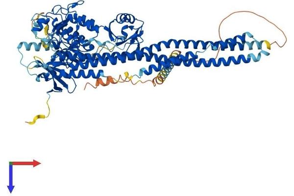IKBKB Protein (AA 1-757) (His tag)