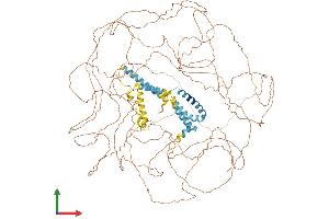 Protein Structure (PS) image for Reticulon 4 (RTN4) (AA 1-1192) protein (His tag) (ABIN7555321)