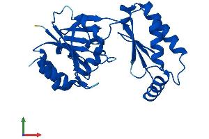 Protein Structure (PS) image for Phosphomannomutase 2 (PMM2) (AA 1-242) protein (His tag) (ABIN7556439)