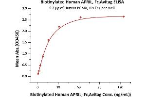 ELISA image for Tumor Necrosis Factor (Ligand) Superfamily, Member 13 (TNFSF13) (AA 105-250) (Active) protein (Fc Tag,AVI tag,Biotin) (ABIN6731326)