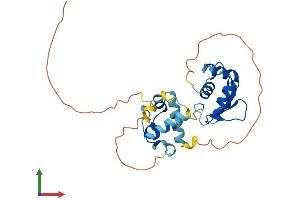 Protein Structure (PS) image for E74-Like Factor 5 (Ets Domain Transcription Factor) (ELF5) (AA 1-265) protein (His tag) (ABIN7547296)