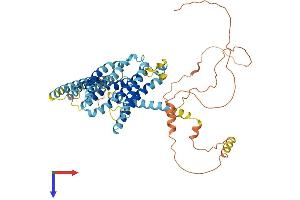 TMEM184C Protein (AA 1-525) (His tag)