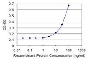 Detection limit for recombinant GST tagged UGT1A3 is 1 ng/ml as a capture antibody. (UGT1A3 Antikörper  (AA 30-129))