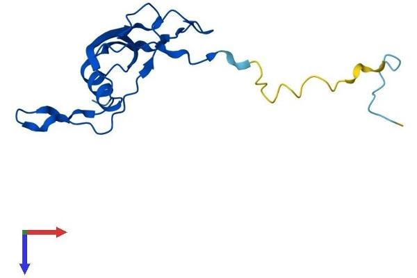 MRPL23 Protein (AA 1-146) (His tag)