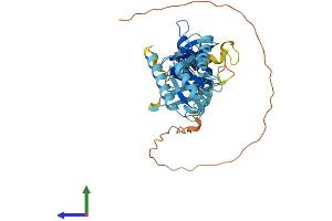 Protein Structure (PS) image for GTP Binding Protein 5 (GTPBP5) (AA 1-406) protein (His tag) (ABIN7549599)