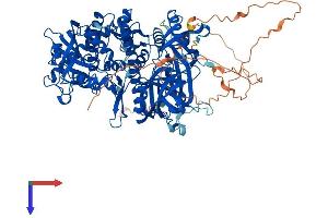 DIS3L2 Protein (AA 1-870) (His tag)