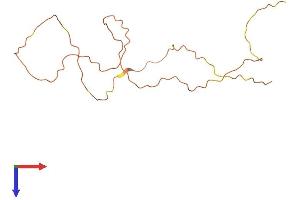 KRTAP13-4 Protein (AA 1-160) (His tag)