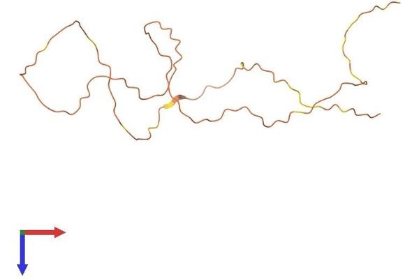 KRTAP13-4 Protein (AA 1-160) (His tag)