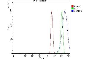 Flow Cytometry analysis of U251 cells using anti-CRABP2 antibody (ABIN7602146).