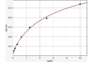 PEBP1 ELISA Kit