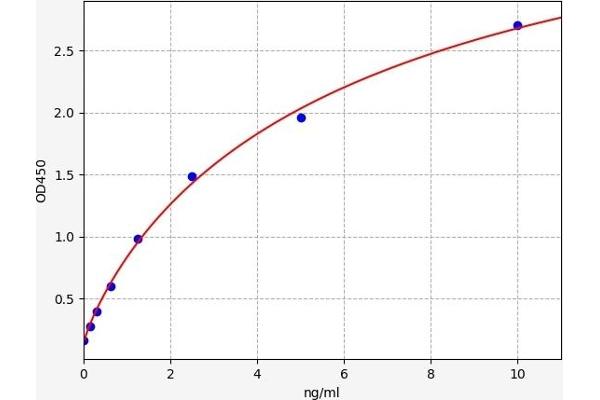 PEBP1 ELISA Kit