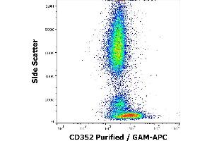 Flow cytometry surface staining pattern of human peripheral whole blood stained using anti-human CD352 (hsF6. (SLAMF6 Antikörper)