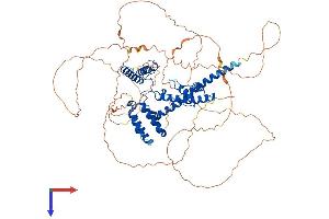 DAXX Protein (AA 1-740) (His tag)