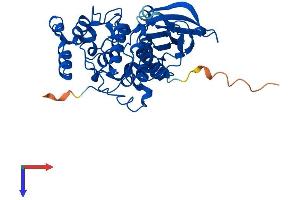 CSNK2A2 Protein (AA 1-350) (His tag)