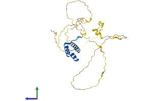 GSX2 Protein (AA 1-305) (His tag)