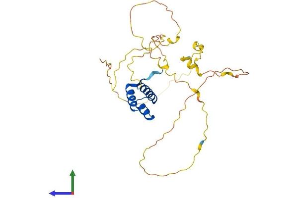 GSX2 Protein (AA 1-305) (His tag)